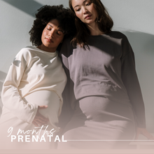 Load image into Gallery viewer, Prenatal Doula Support in Ontario – Expert Care for a Healthy Pregnancy