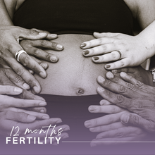 Load image into Gallery viewer, 12-Month Fertility Wellness Program | Fertility Doula & Holistic Womb Care