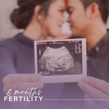 Load image into Gallery viewer, 12-Month Fertility Wellness Program | Fertility Doula & Holistic Womb Care