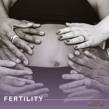 Load image into Gallery viewer, 12-Month Fertility Wellness Program | Fertility Doula & Holistic Womb Care