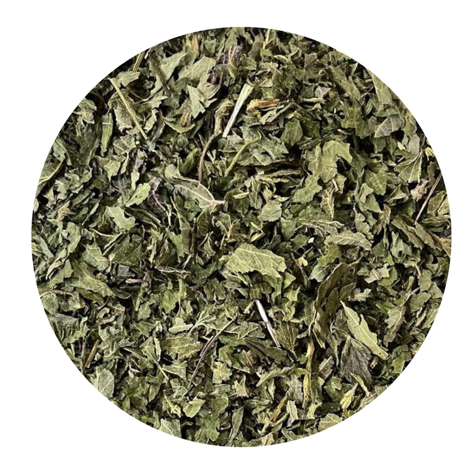 Nettle Benefits for Heavy Periods &amp; Anemia | Natural Women's Health